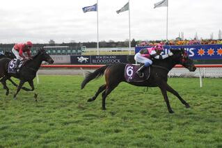 Lochan Ora (NZ) claims sixth win at Riccarton. Photo Credit: Race Images Christchurch.